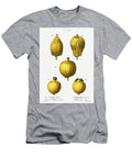 1 2 Citron Citrus Medica 3 4 5 Lemon Citrus Limonium From Traite Des Arbres Et Arbustes Que L Pierre Joseph Redoute T-Shirt