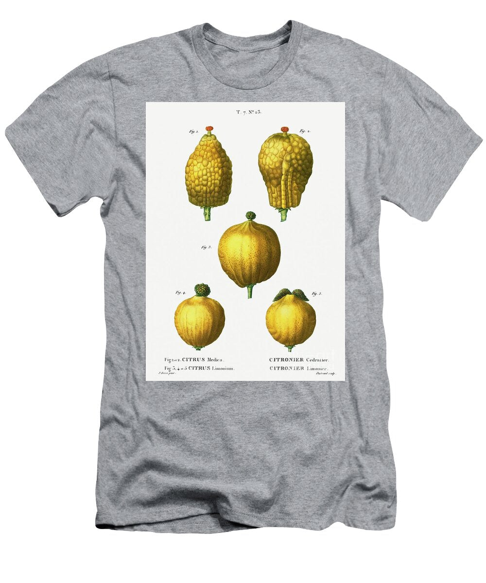 1 2 Citron Citrus Medica 3 4 5 Lemon Citrus Limonium From Traite Des Arbres Et Arbustes Que L Pierre Joseph Redoute T-Shirt
