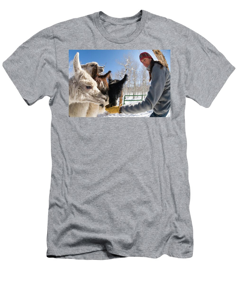 1 a Woman Feeding Alpacas Kennan Harvey T-Shirt