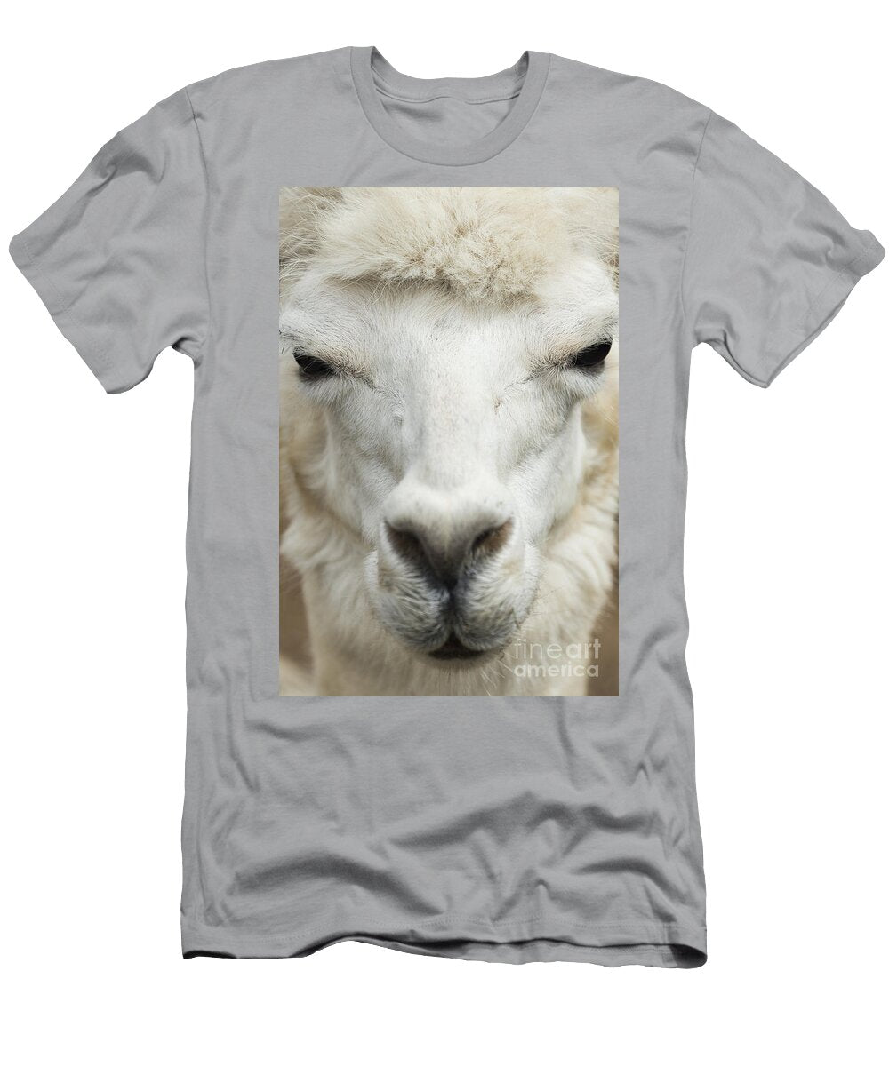1 Alpaca John Greim T-Shirt