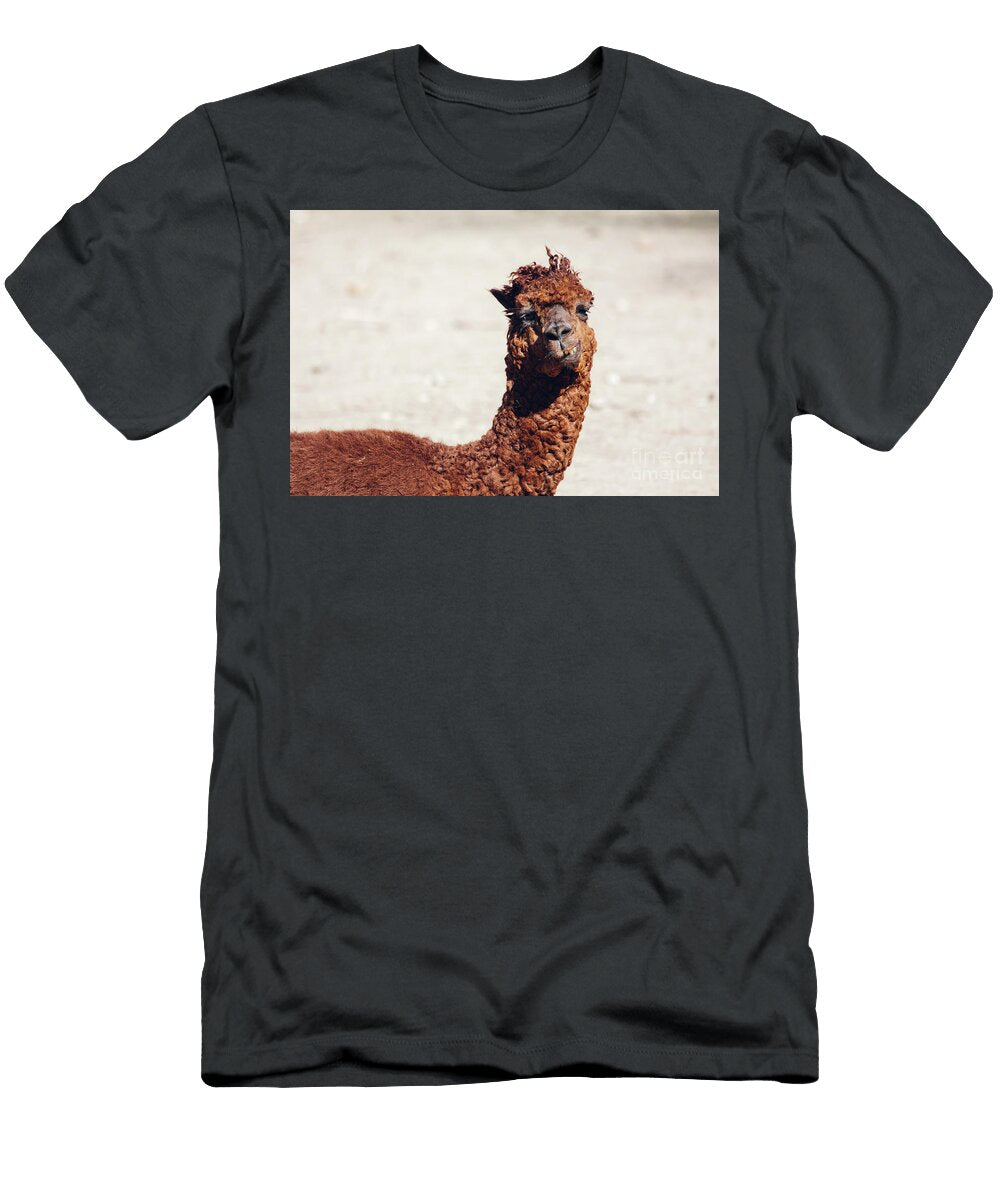 1 Alpaca Lying Portrait Michal Bednarek T-Shirt