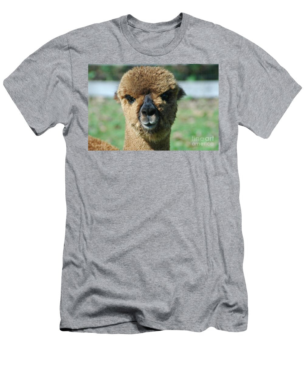 1 Alpaca Mark Gilman T-Shirt