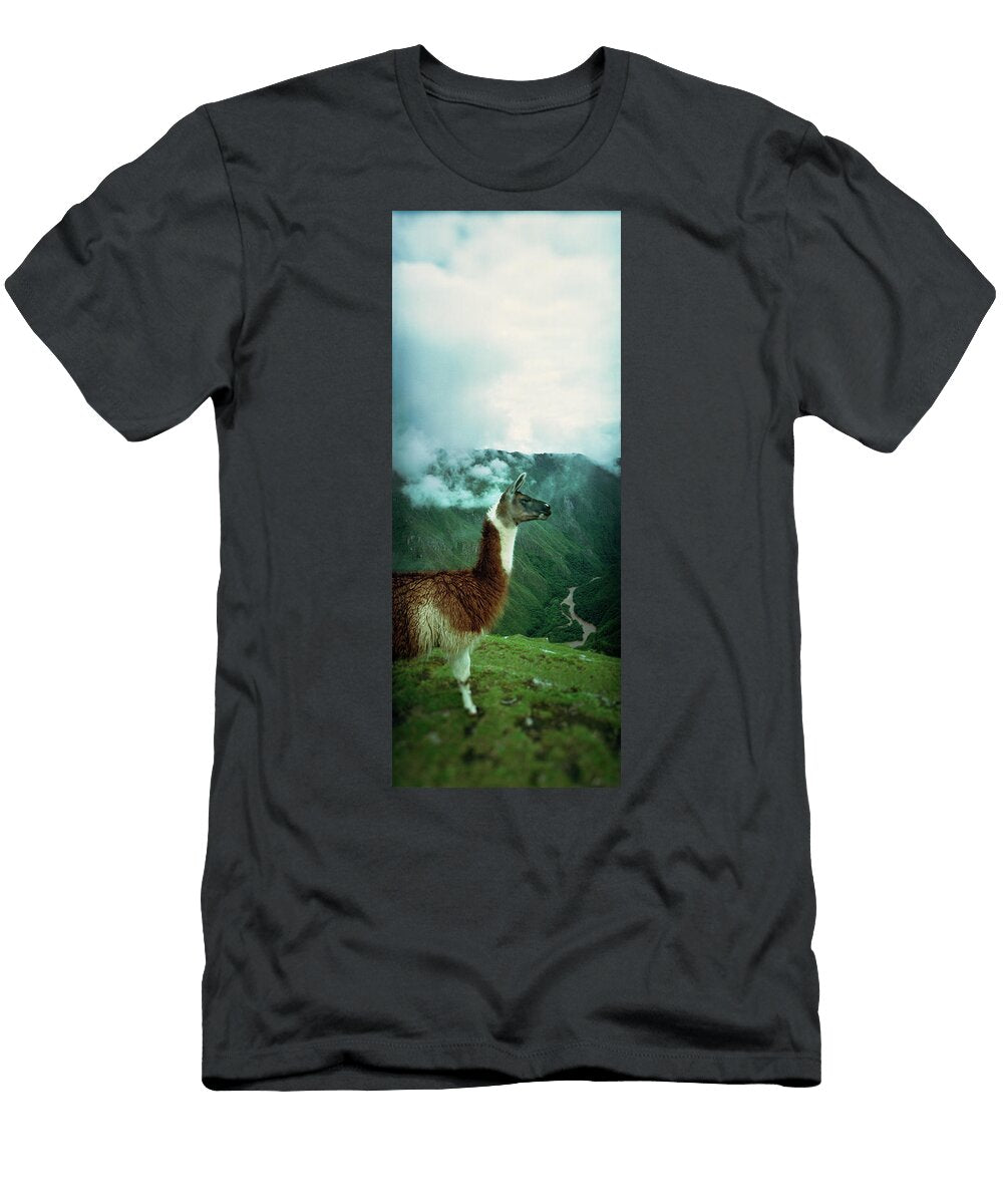 1 Alpaca Vicugna Pacos on a Mountain Animal Images T-Shirt