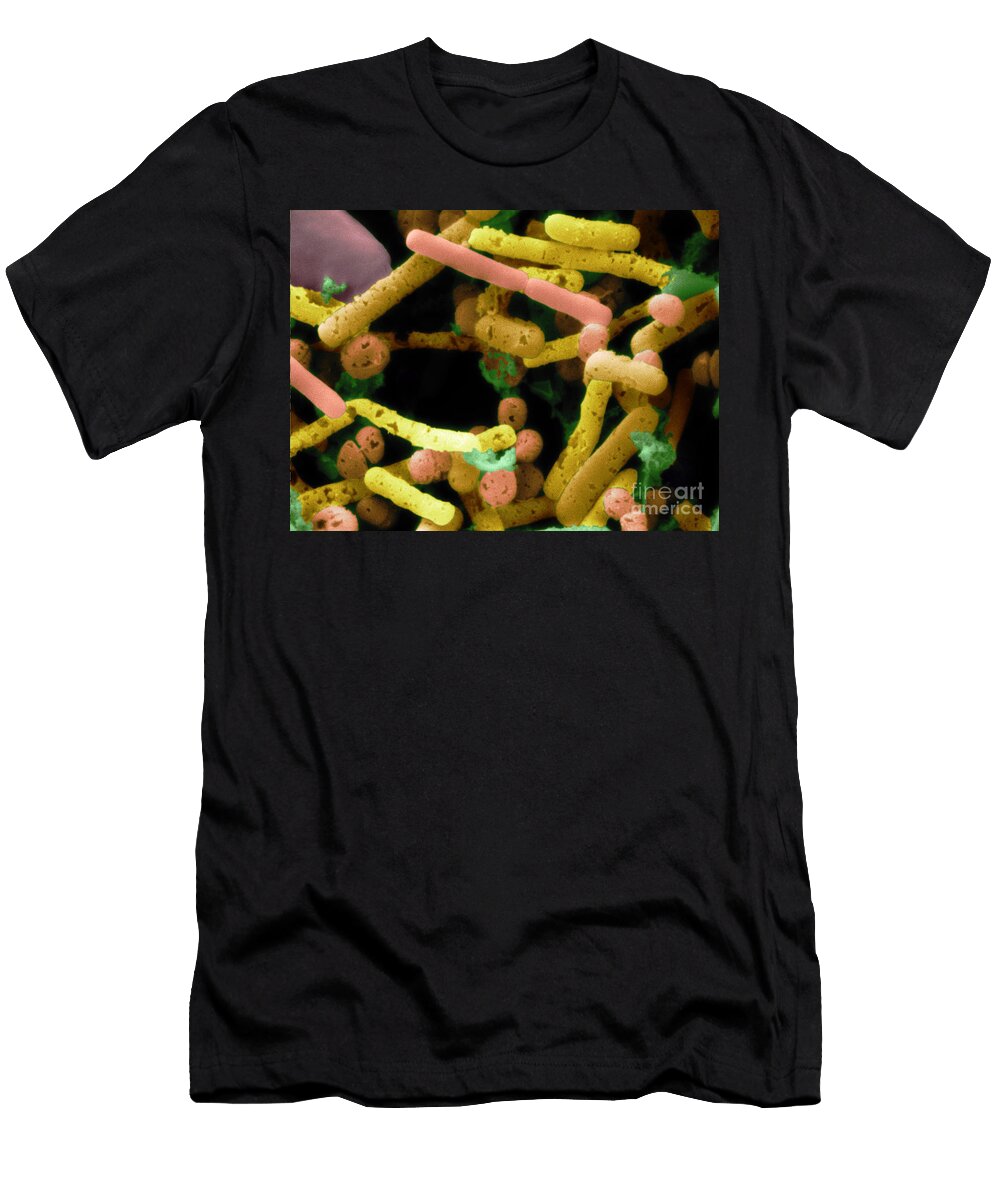 1 Bacteria in Olive Brine Scimat T-Shirt