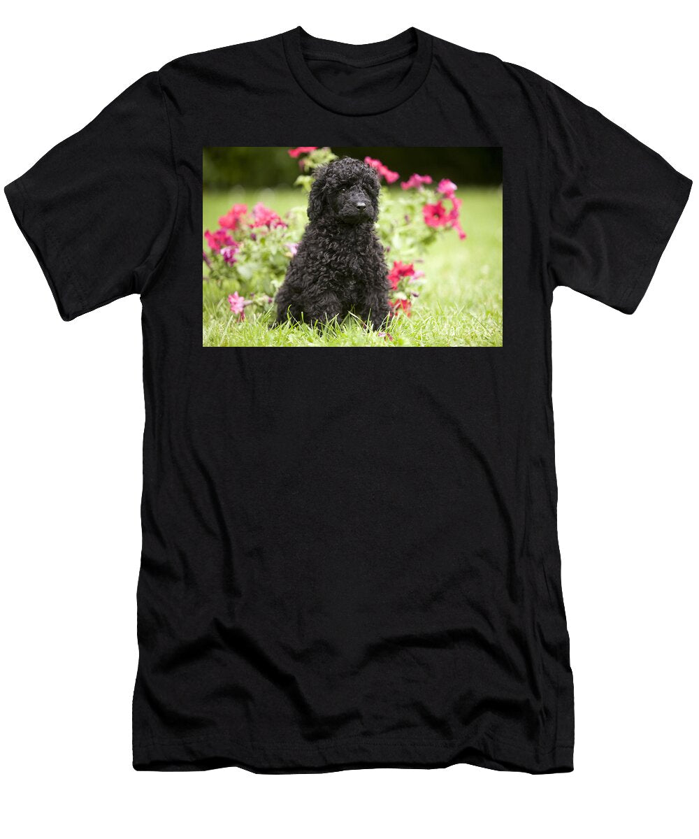 1 Black Poodle Jean Michel Labat T-Shirt