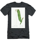 1 Cactus Phyllanthus Climbing Cactus From Histoire Des Plantes Grasses 1799 By Pierre Joseph Redou Pierre Joseph Redoute T-Shirt