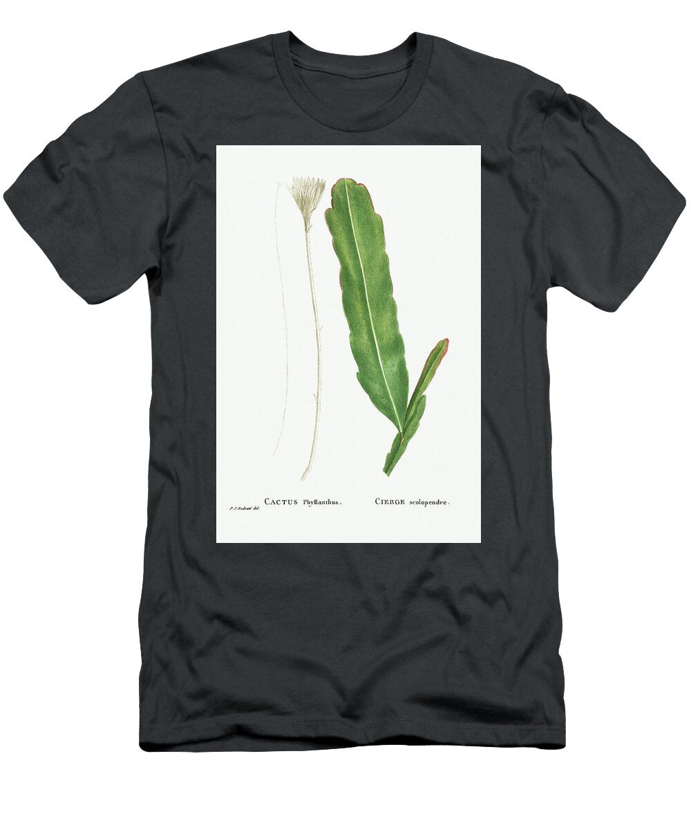 1 Cactus Phyllanthus Climbing Cactus From Histoire Des Plantes Grasses 1799 By Pierre Joseph Redou Pierre Joseph Redoute T-Shirt