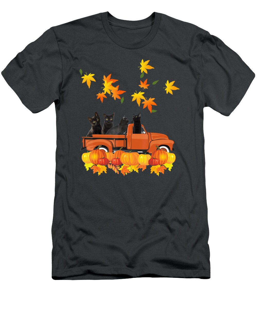 1 Car Truck Cat Anh Nguyen T-Shirt