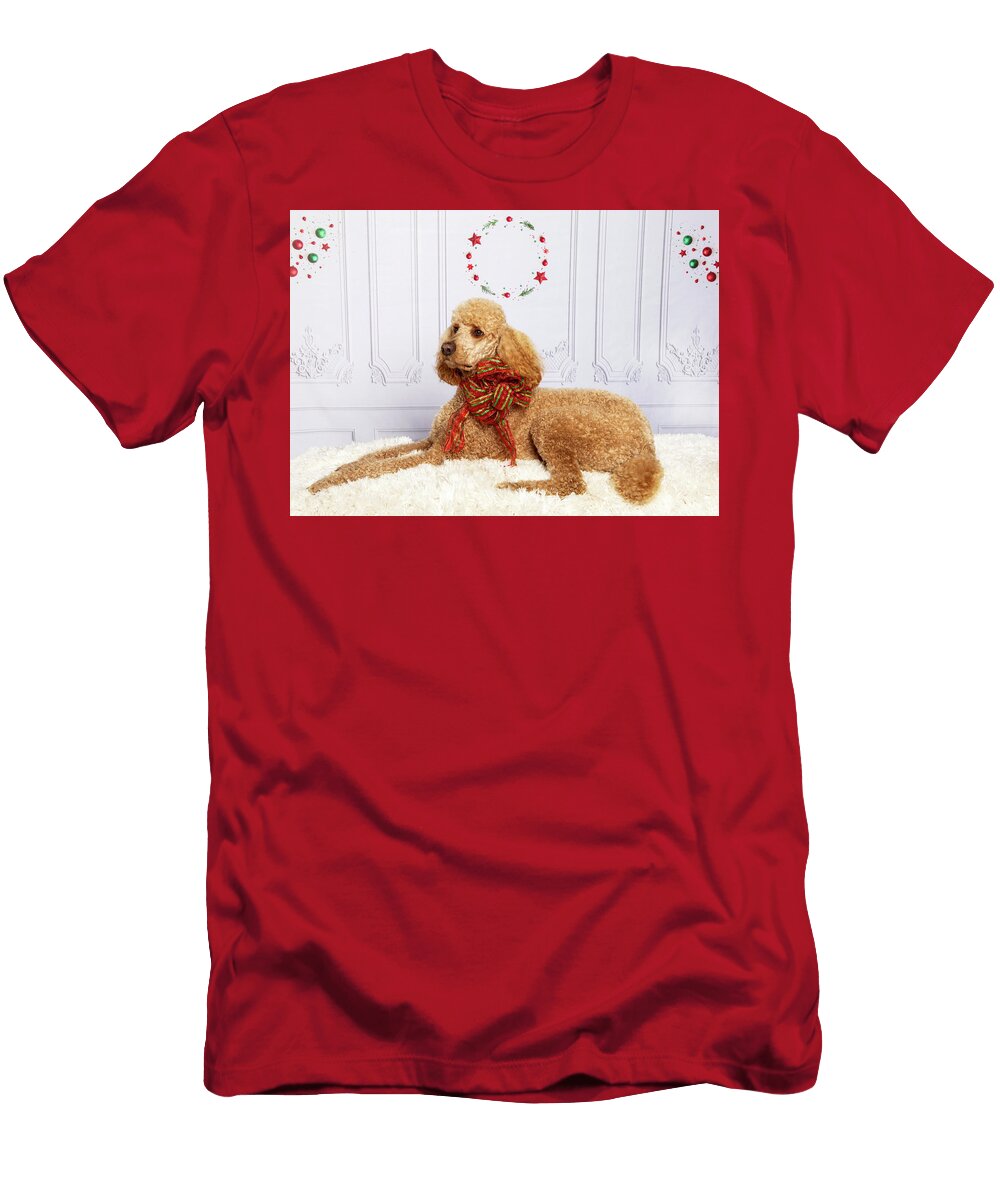 1 Chester 7 Rebecca Cozart T-Shirt