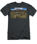 1 Chimborazo Volcano and Alpacas Andes Ecuador August Pete Oxford Natureplcom T-Shirt