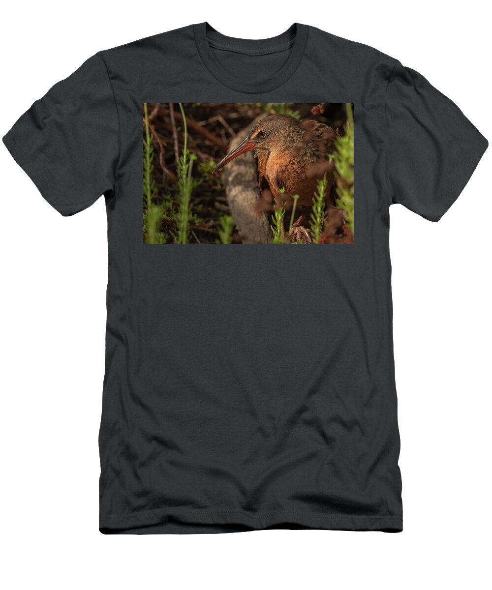 1 Clapper Rail Maryjane Sesto T-Shirt