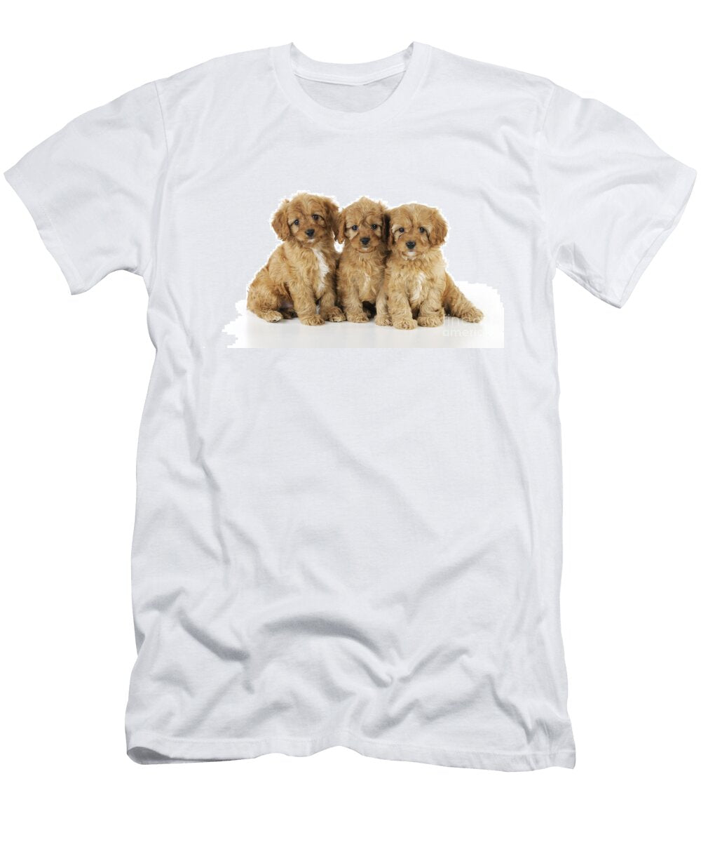1 Cockapoo Puppy Dogs John Daniels T-Shirt