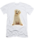 1 Cream Coloured Schnoodle Age 7 Months Mark Taylor Natureplcom T-Shirt