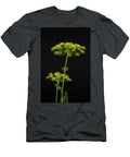1 Dill Anethum Graveolens Bill Pusztai T-Shirt