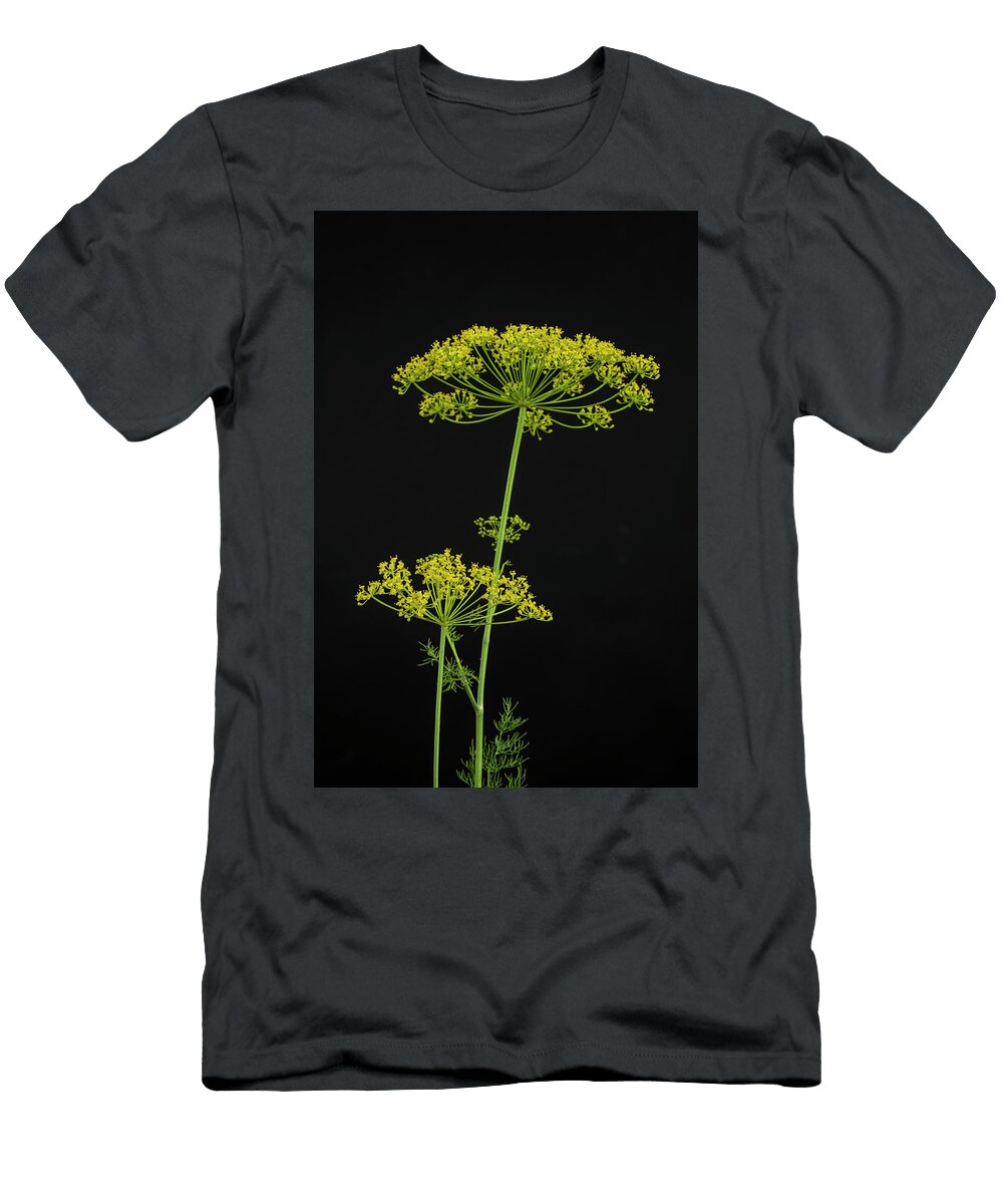 1 Dill Anethum Graveolens Bill Pusztai T-Shirt