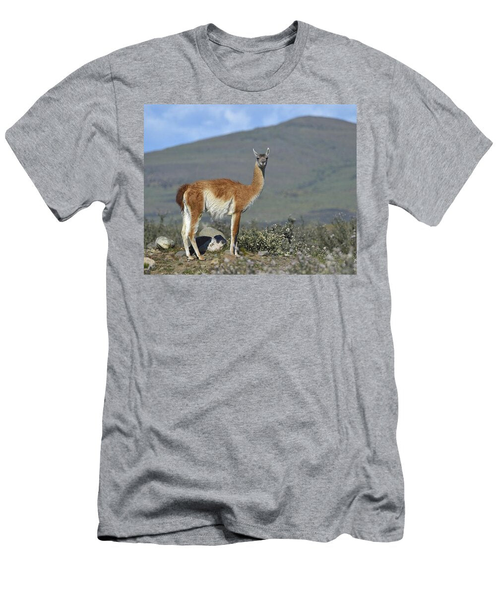 1 Enjoy the Scenery Tony Beck T-Shirt