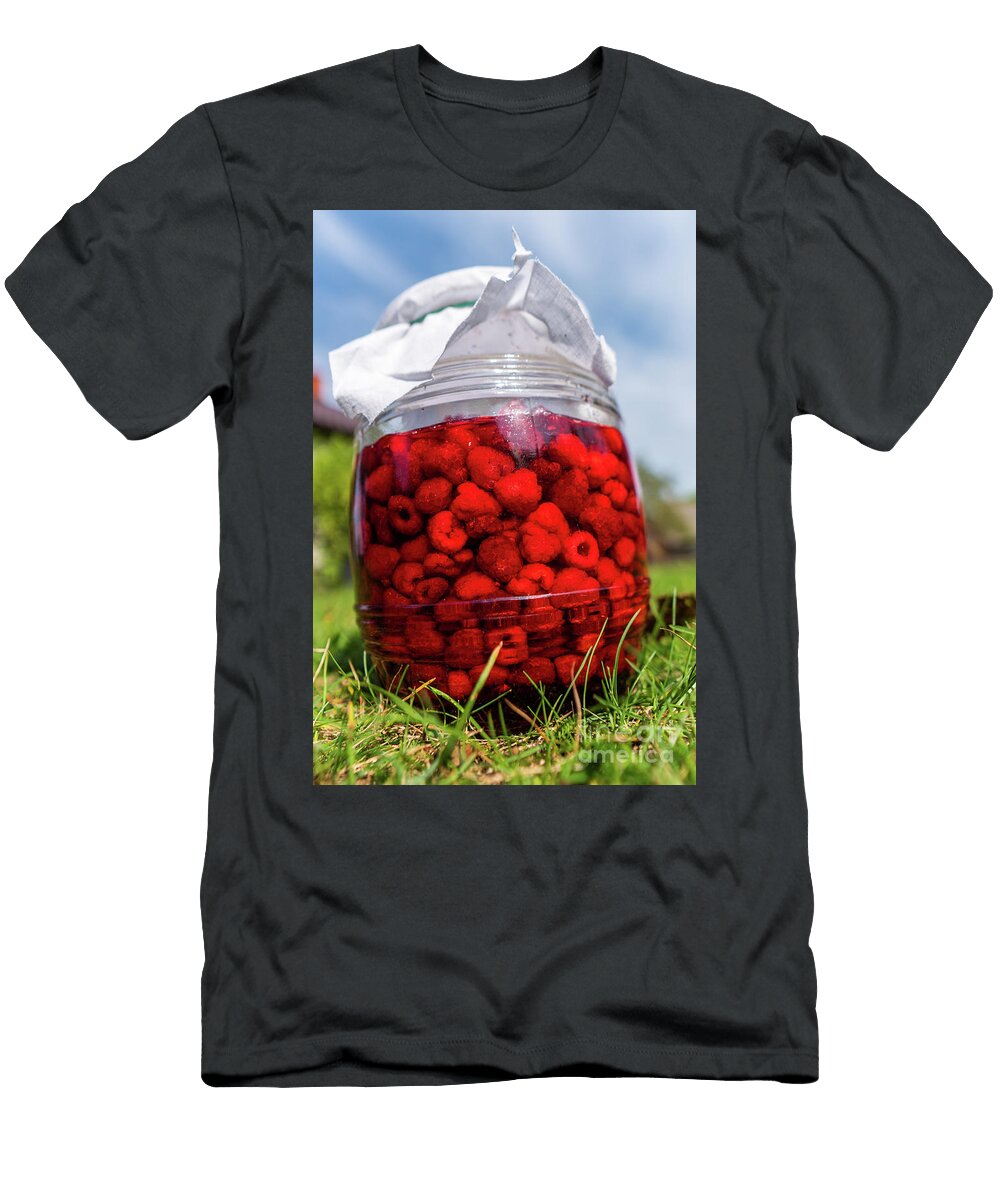 1 Fresh Raspberry in a Glass Jar on Grass Next to Fresh Raspberri Jacek Dudzinski T-Shirt