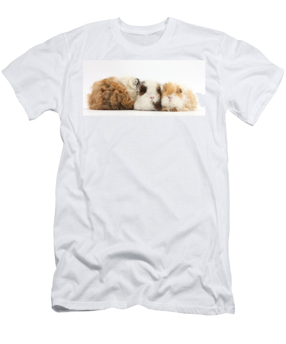 1 Frizzy Alpaca Guinea Pigs Mark Taylor T-Shirt