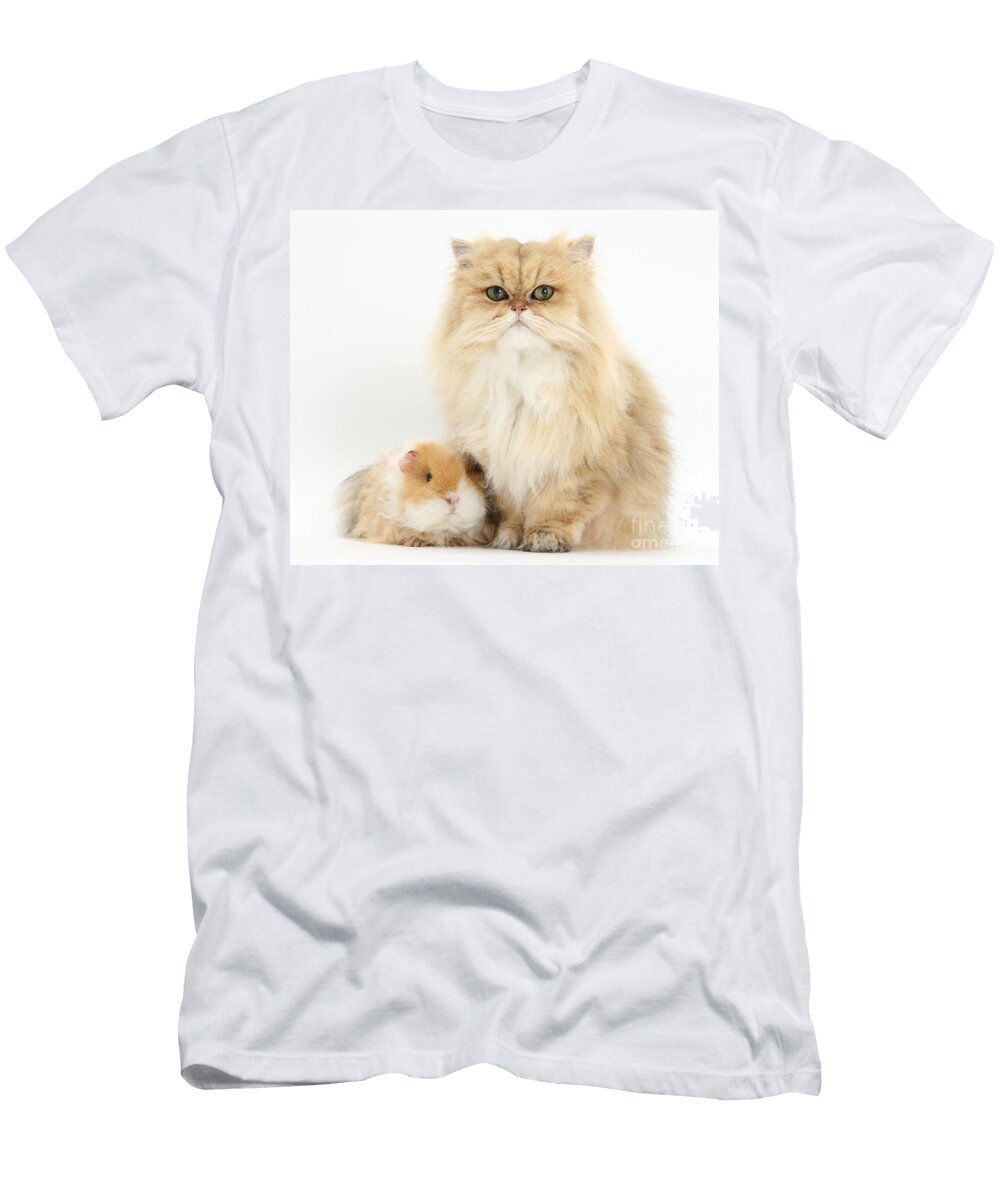 1 Golden Chinchilla Persian Cat Mark Taylor T-Shirt