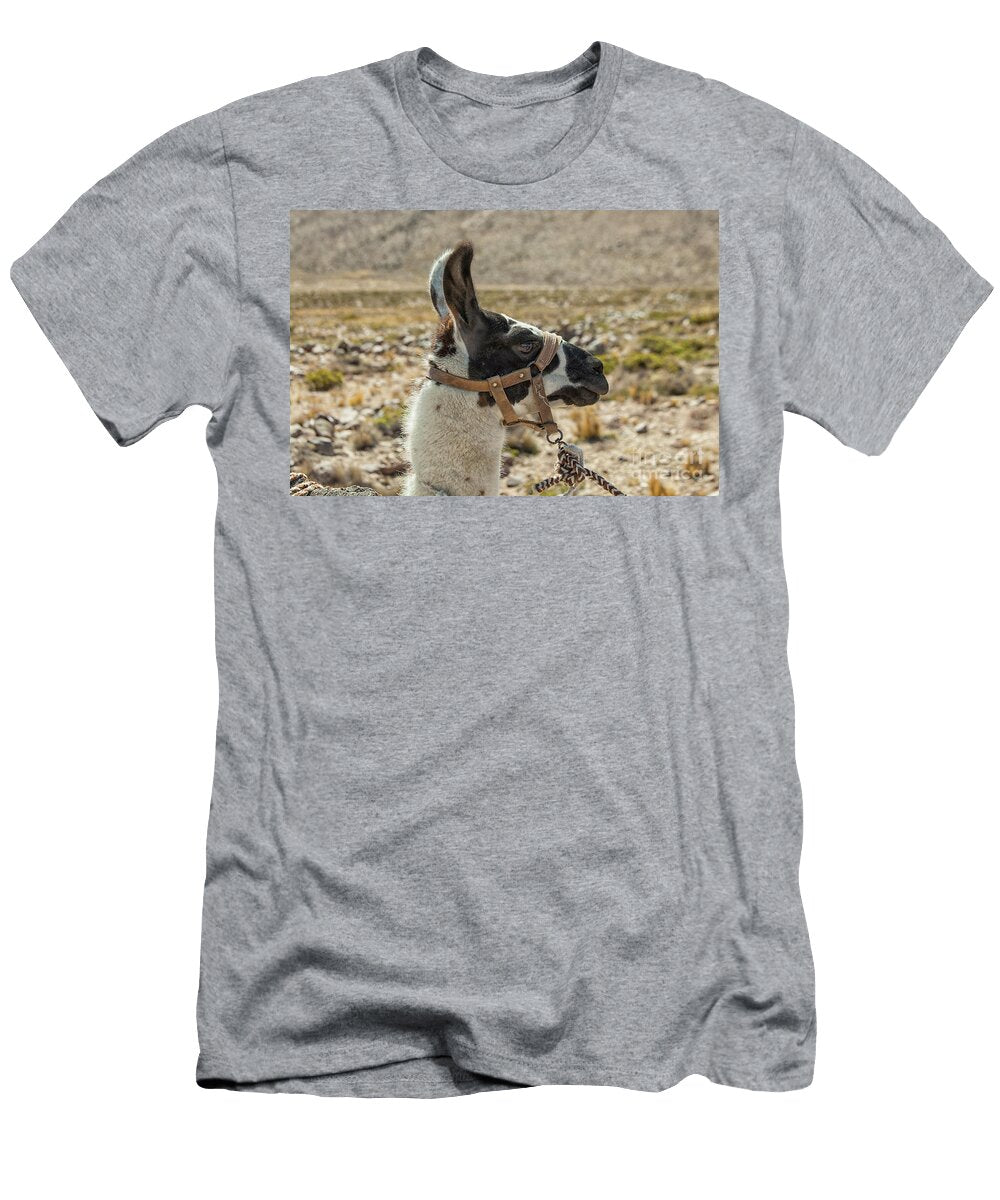 1 Harnessed Llama Patricia Hofmeester T-Shirt