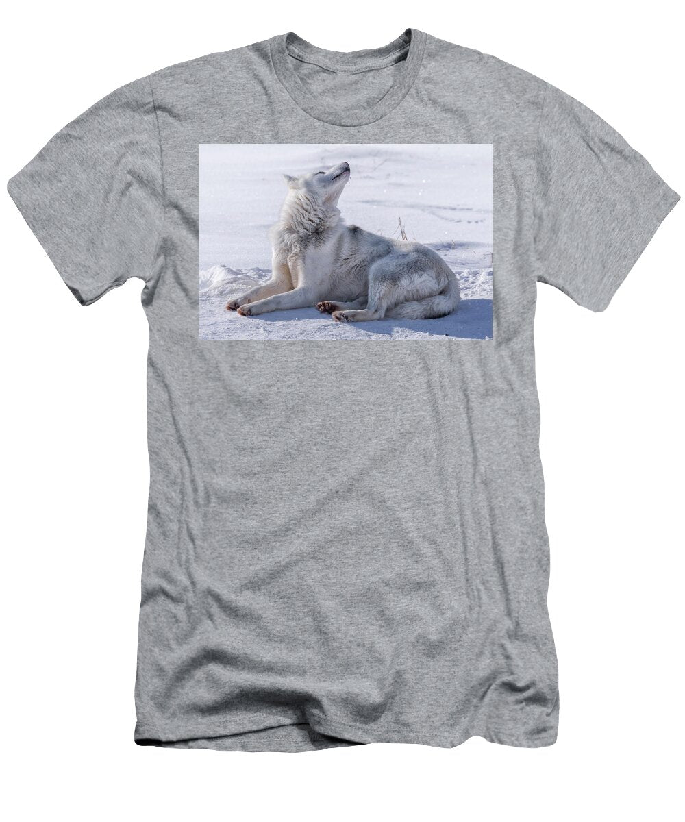 1 Huskies in Ilulissat Greenland Joana Kruse T-Shirt
