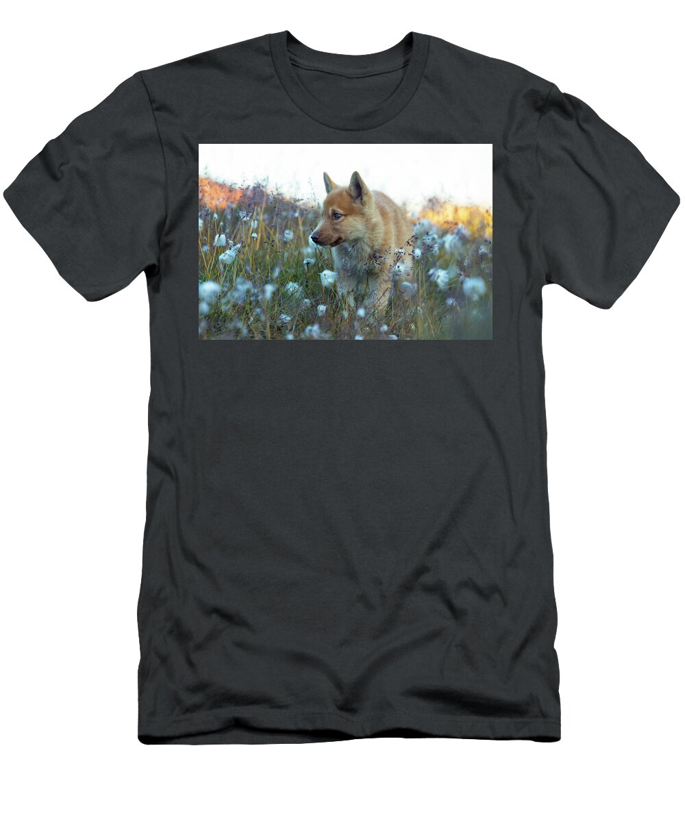 1 Husky Puppy Luciano Gaudenzio T-Shirt