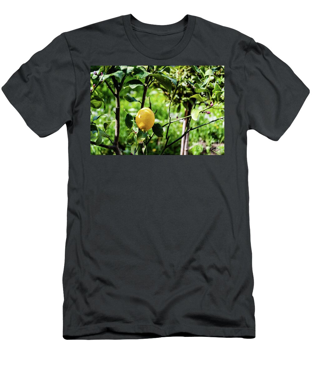 1 Lemons Adriana Sulugiuc T-Shirt