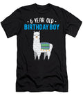 1 Llama Alpaca 6 Year Birthday Boy Gift John Romeo T-Shirt