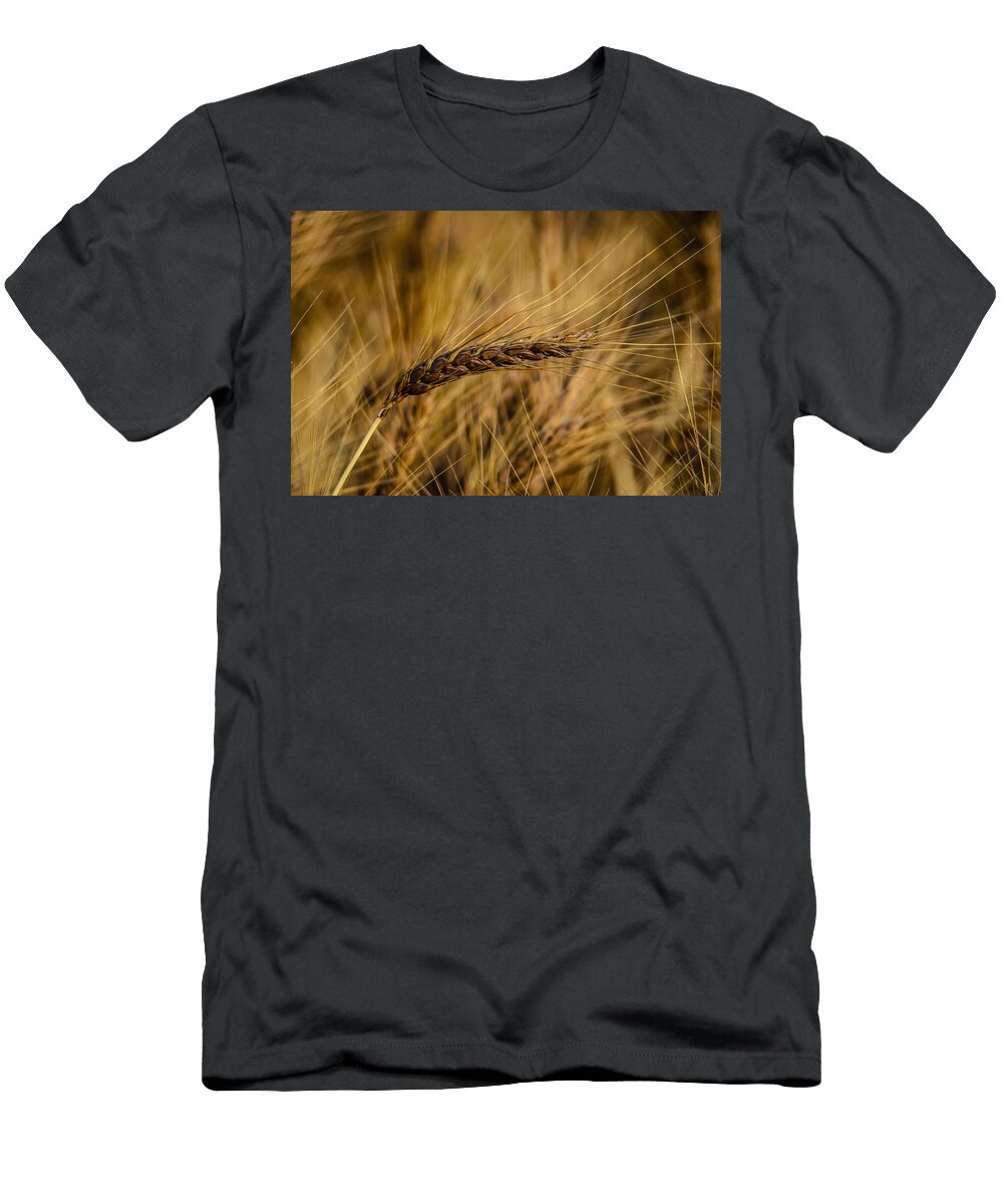 1 One in a Million Omer Vautour T-Shirt