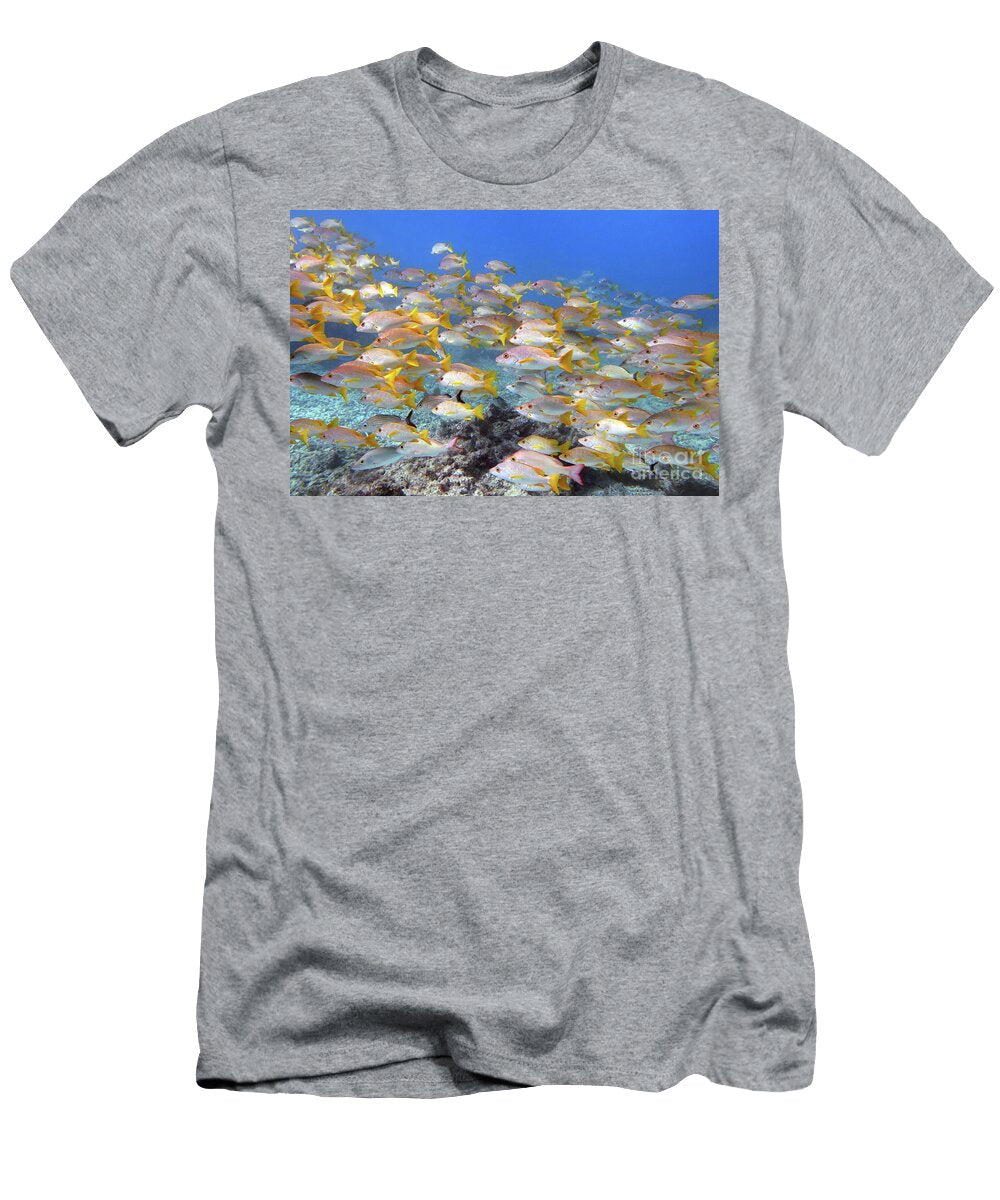 1 Pickles Reef 15 Daryl Duda T-Shirt