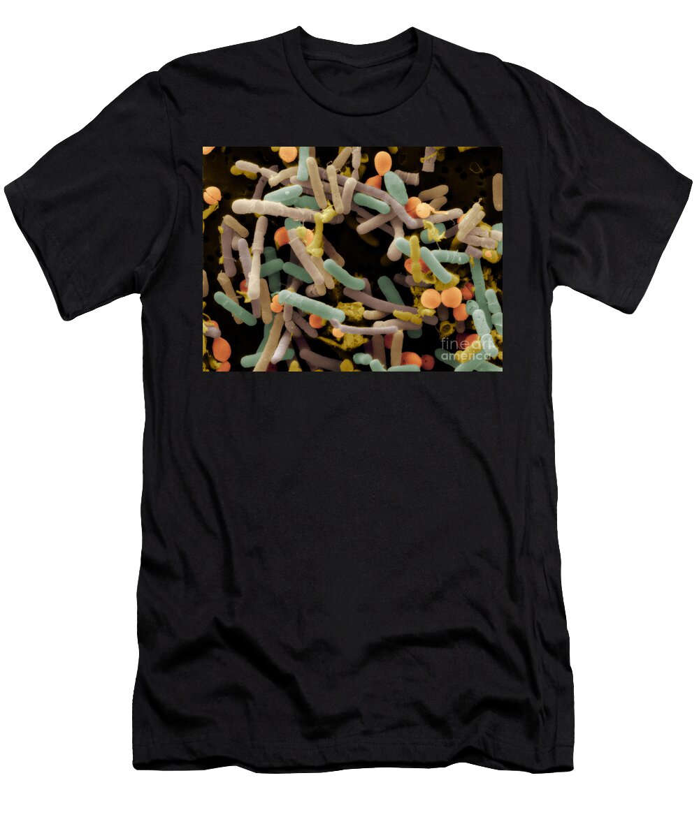 1 Pickling Scimat T-Shirt