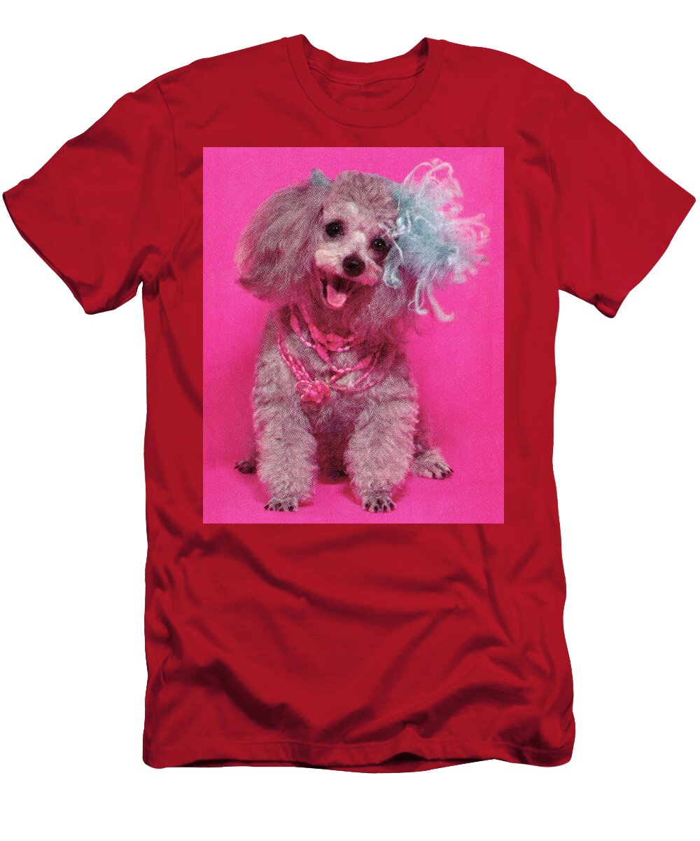 1 Poodle Csa Images T-Shirt