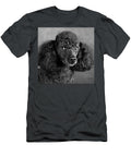 1 Portrait of a Mini Poodle Dog Panoramic Images T-Shirt
