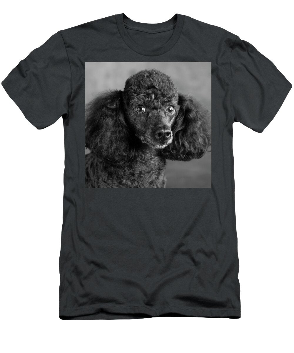 1 Portrait of a Mini Poodle Dog Panoramic Images T-Shirt