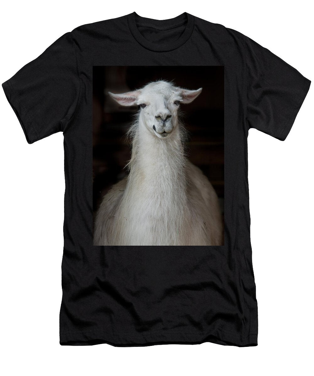 1 Portrait of an Alpaca Greg Nyquist T-Shirt