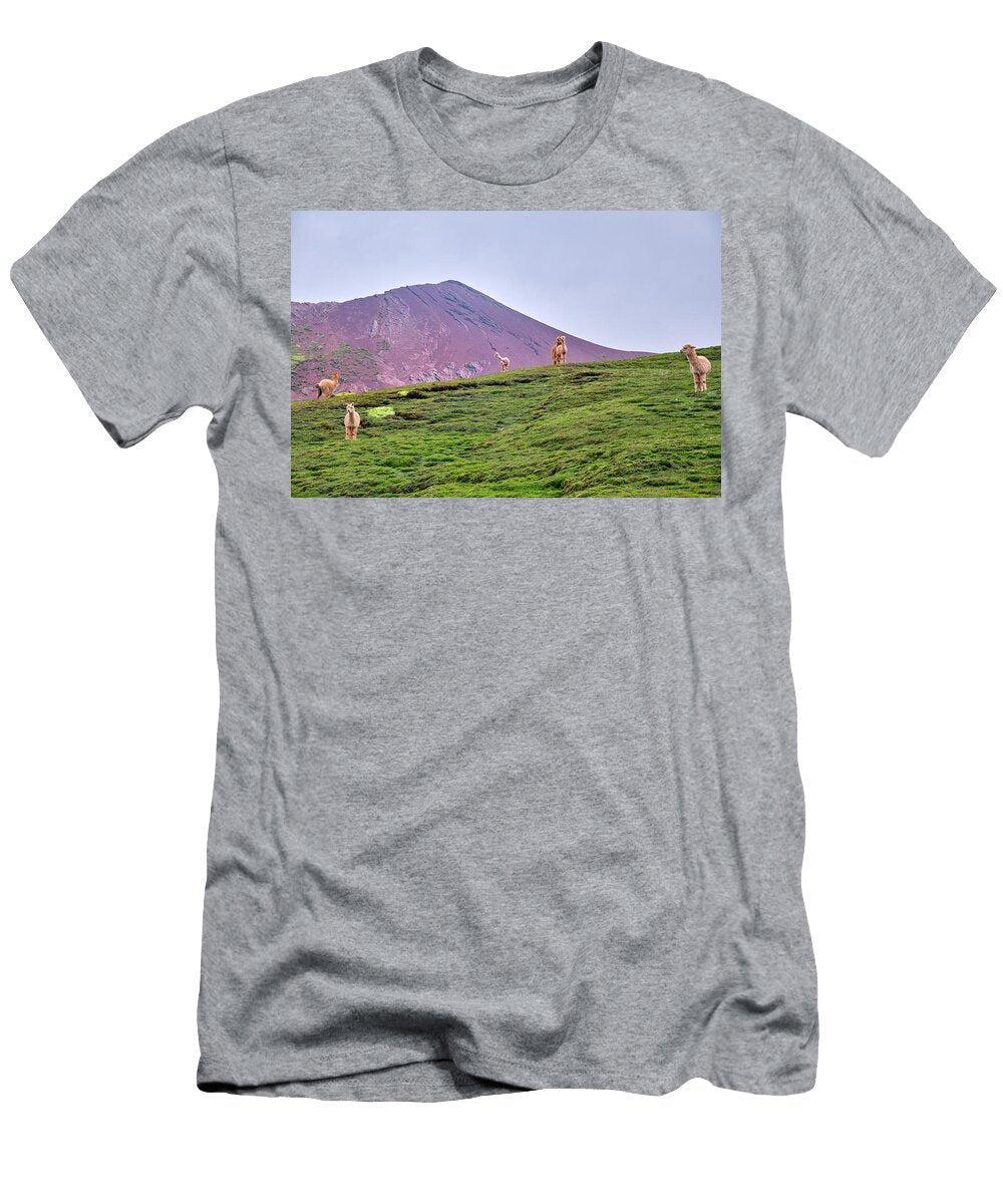 1 Red Valley Mountain Alpacas Palcoyo Peru 5000 Meters Guido Montanes Castillo T-Shirt