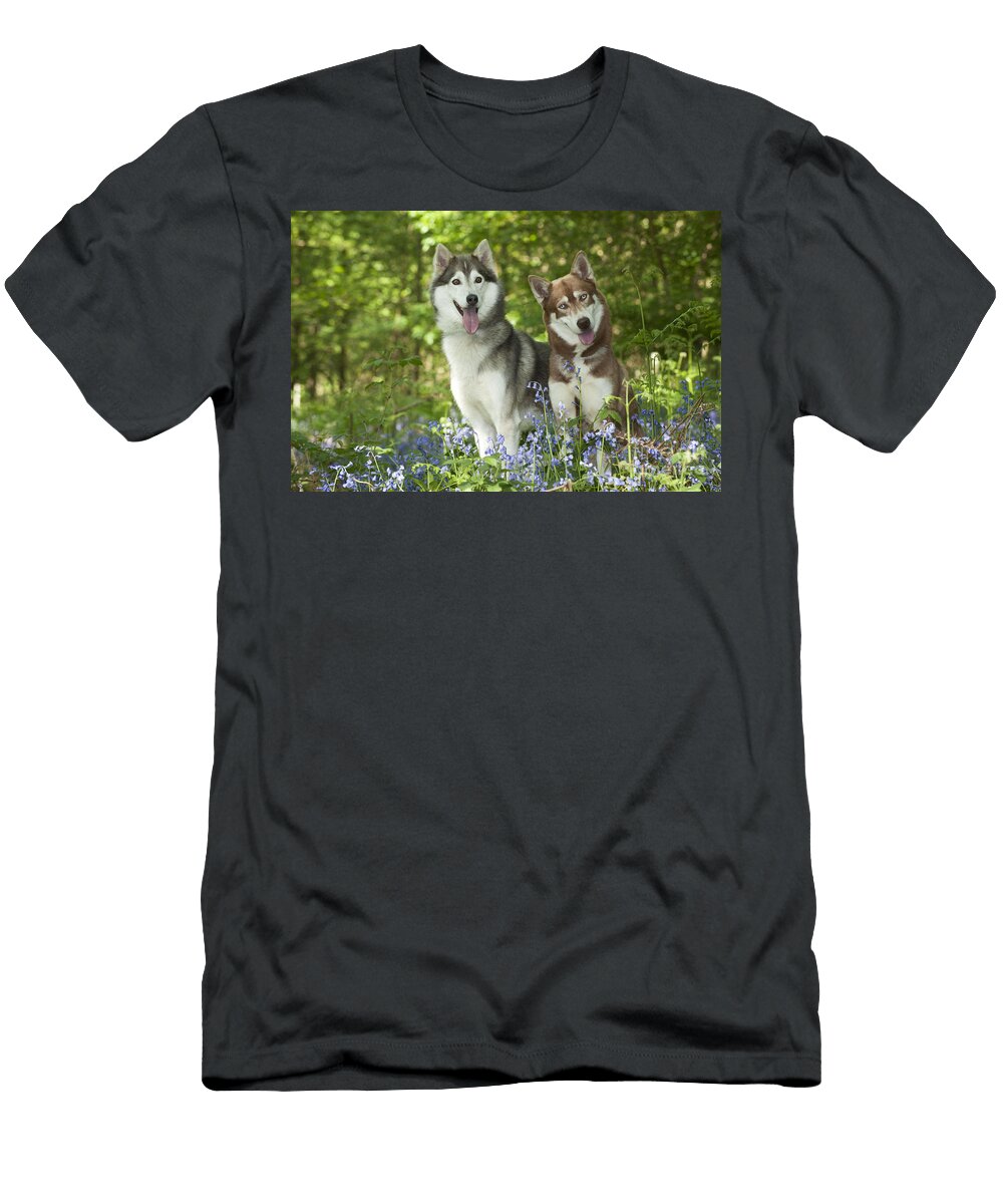 1 Siberian Huskies John Daniels T-Shirt