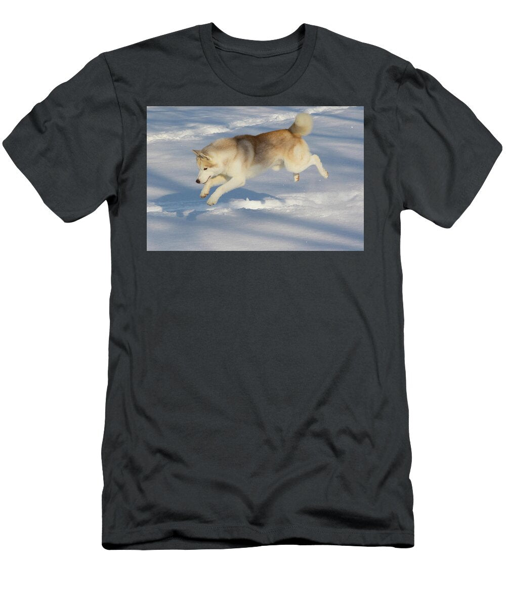 1 Siberian Husky Jumping Running in Snow Illinois Lynn M Stone Natureplcom T-Shirt