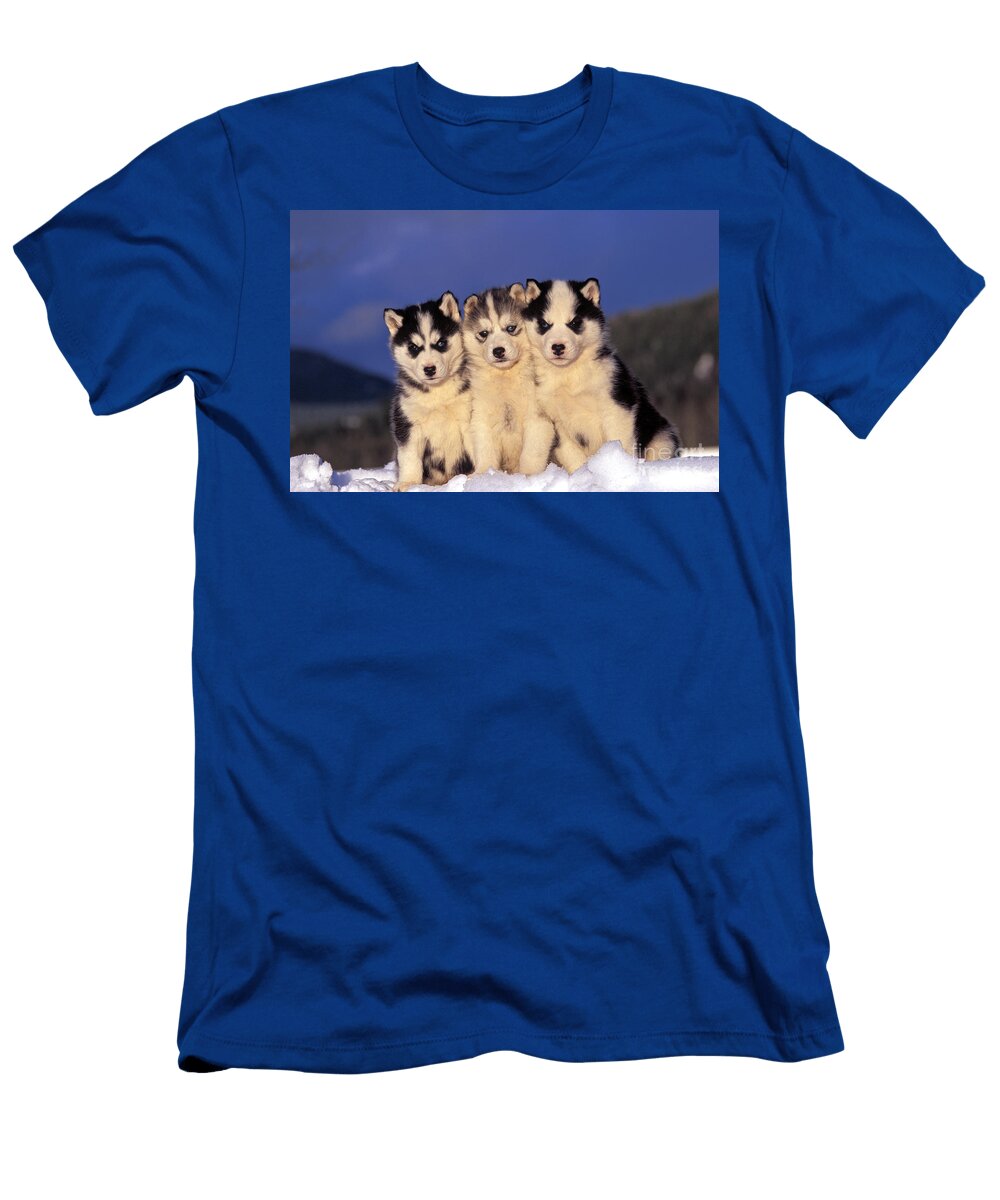 1 Siberian Husky Puppies Rolf Kopfle T-Shirt