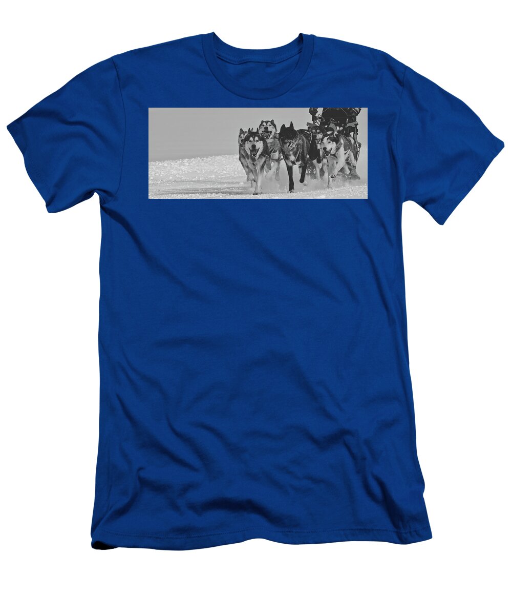 1 Teamwork Pixabay T-Shirt