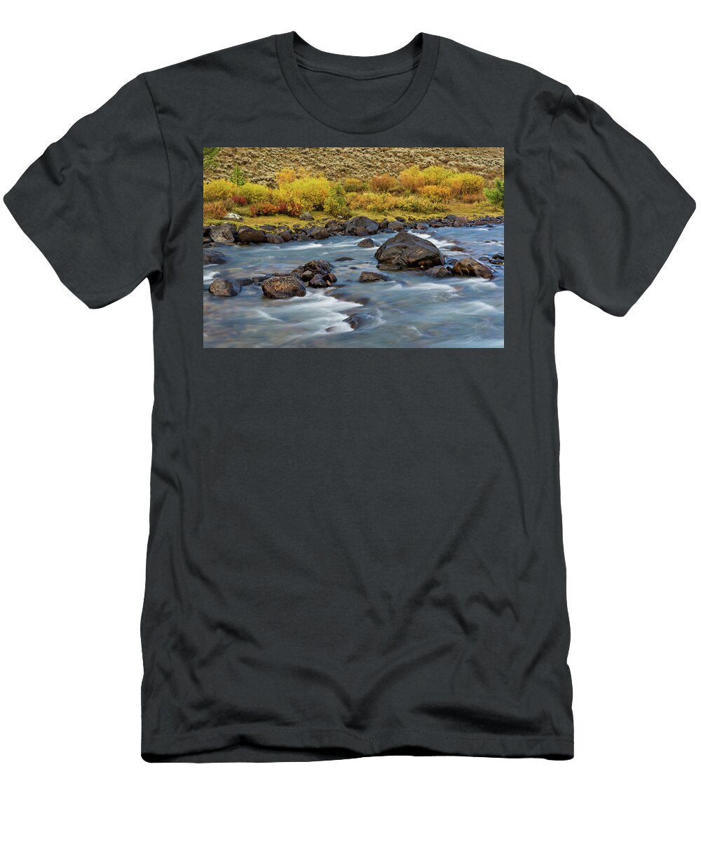 1 Wyoming Fall Creek Julieta Belmont T-Shirt