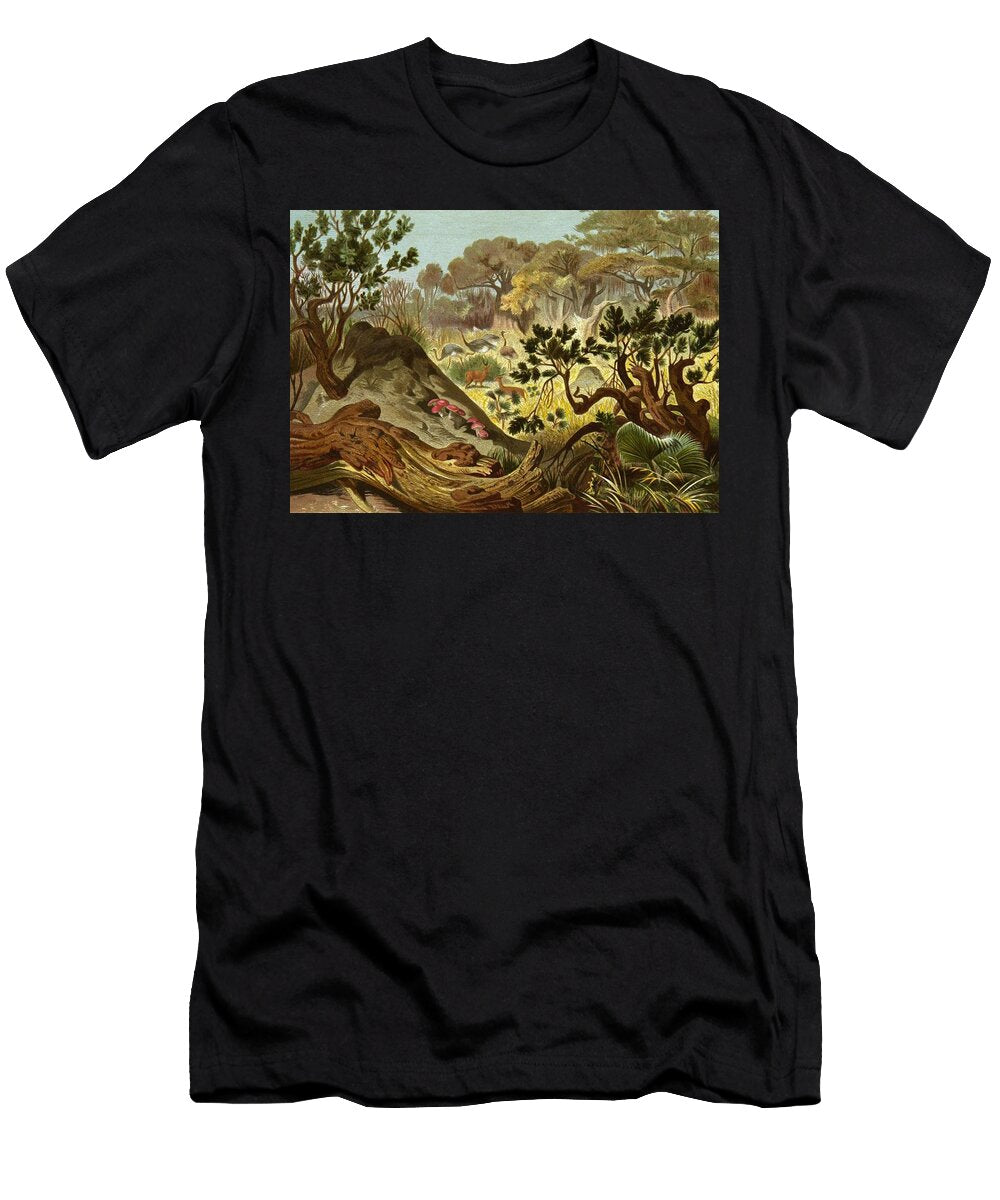 11 Die Insekten Tausendfussler Und Spinnen Pl Alfred Edmund Brehm German T-Shirt