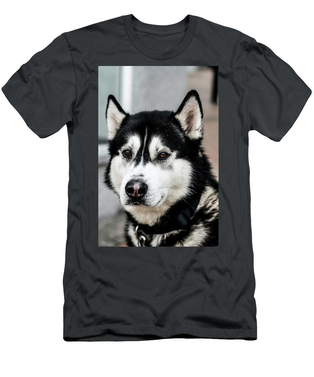 112 Wildlife Photography From My Travels Jeramy Hinfelaar T-Shirt