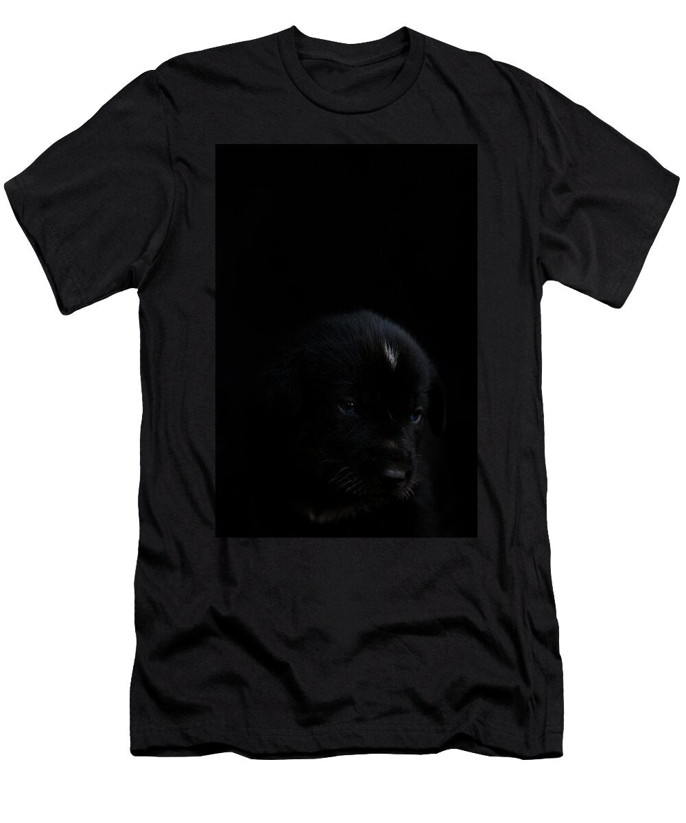 12 From the New Pups to Retired Veterans Rafal Gerszak T-Shirt