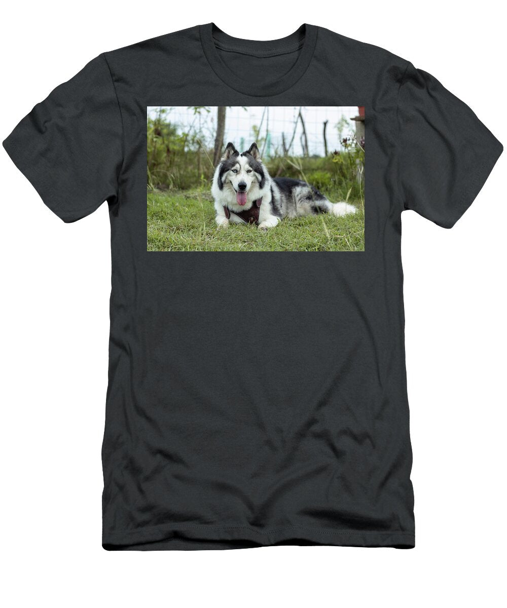 131 Wildlife Photography From My Travels Jeramy Hinfelaar T-Shirt