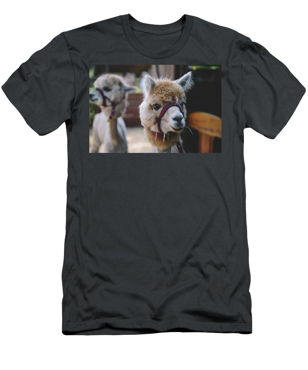 157 Beautiful Wildlife Photography Jeramy Hinfelaar T-Shirt