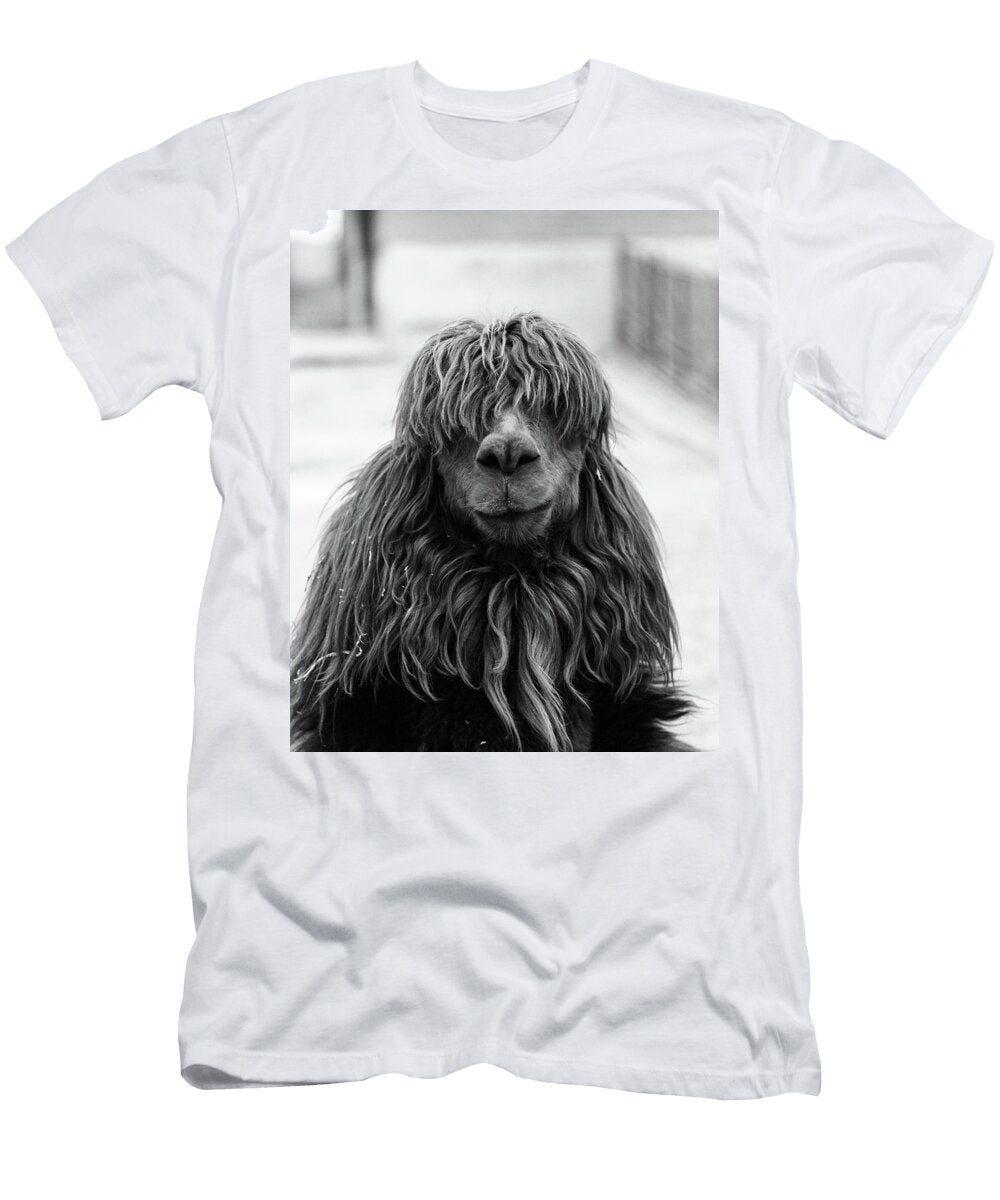 1960s Close Up of Alpaca Vicugna Pacos Vintage Images T-Shirt