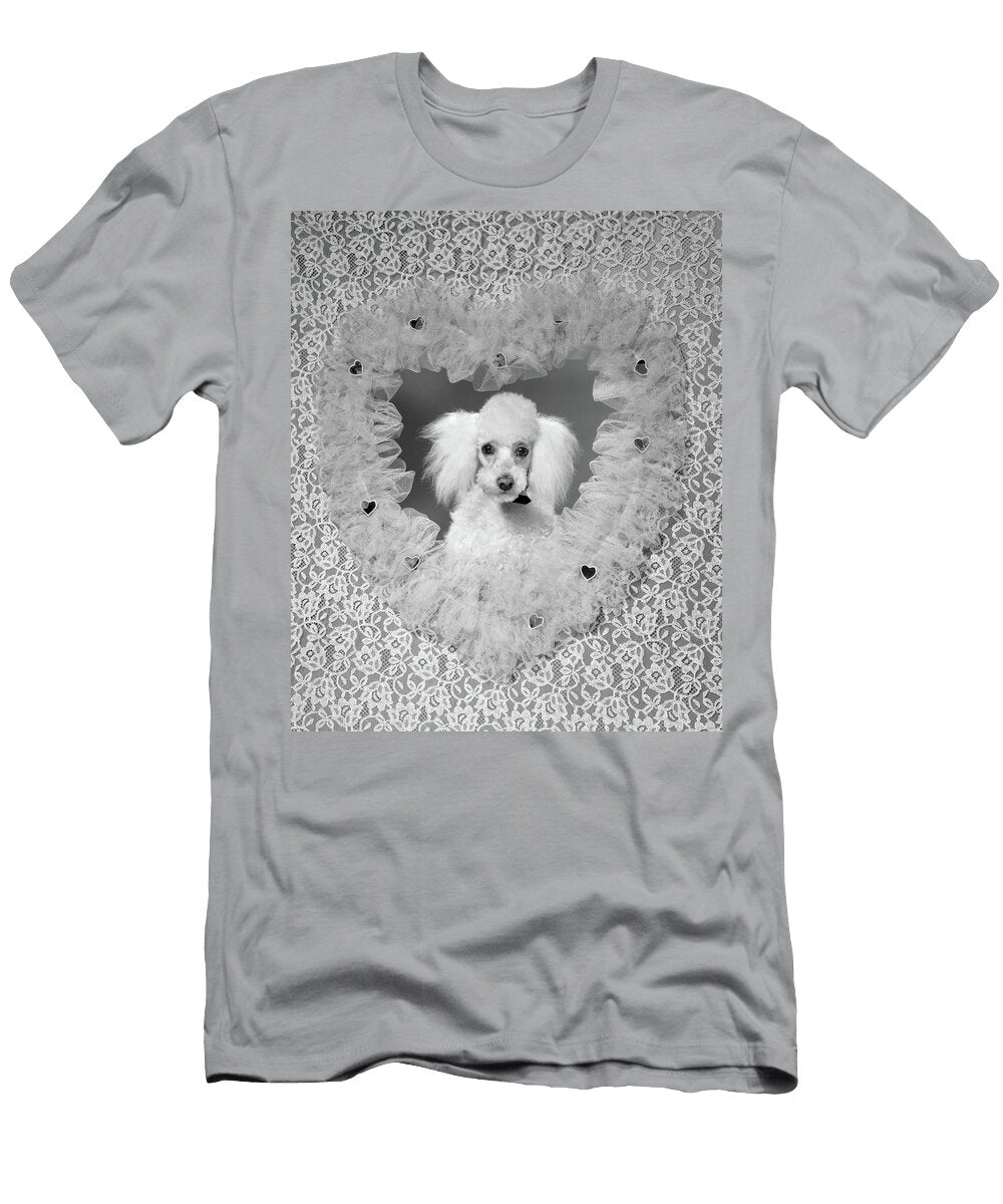 1960s White French Poodle Pet Dog Vintage Images T-Shirt