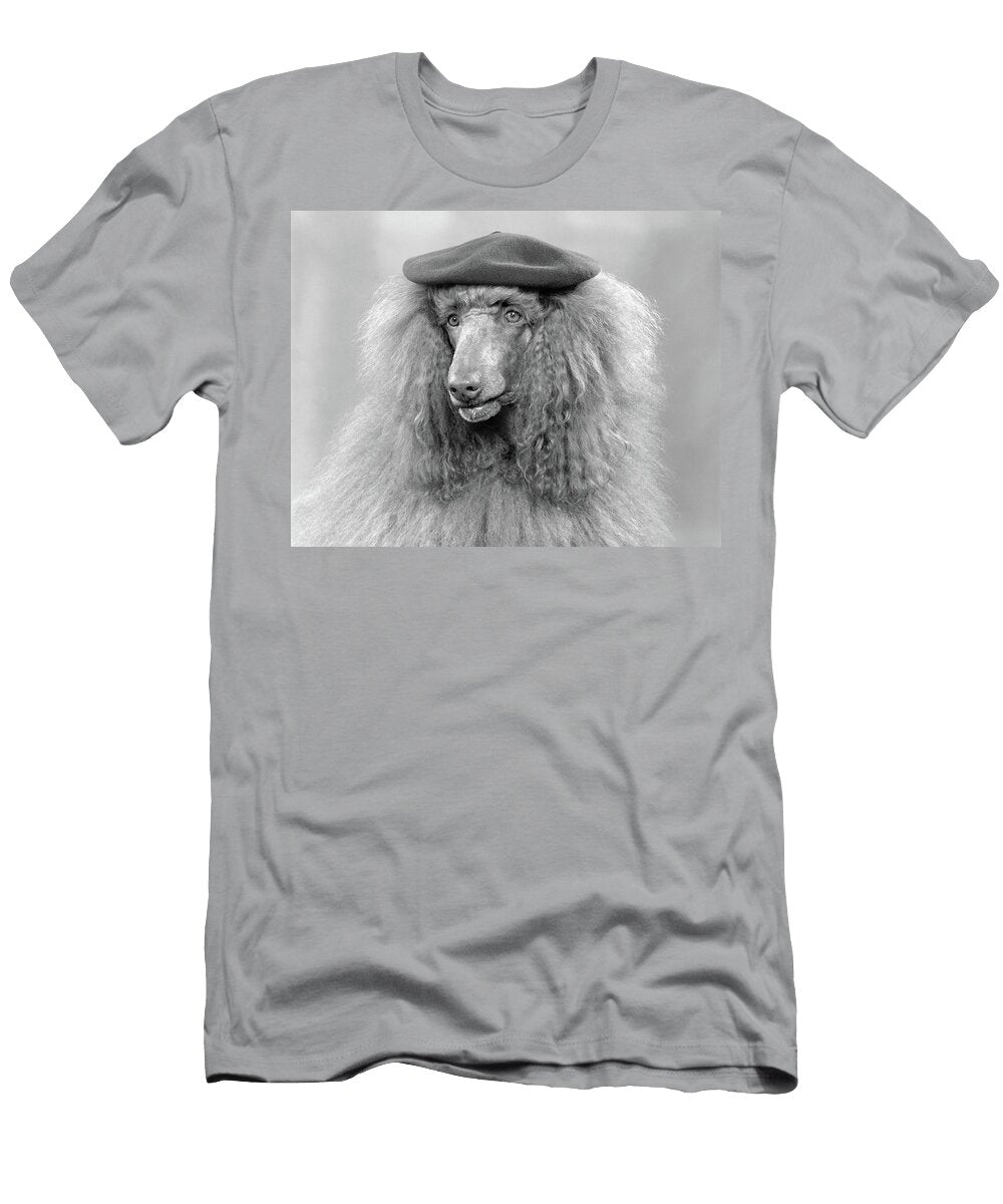 1970s French Poodle Wearing Beret Vintage Images T-Shirt