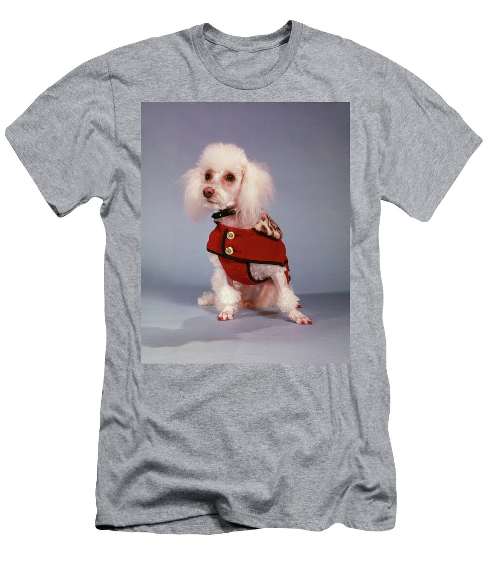 1970s White Miniature French Poodle Animal Images T-Shirt